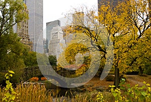 New York City skyline and Central Park in Autumn