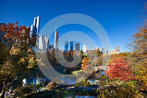 New York City skyscrapers, skyline captured from behind autumn foliage against a blue sky