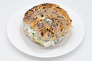 New York City Style Toasted Everything Bagel filled with Scallion Cream Cheese on a White Plate
