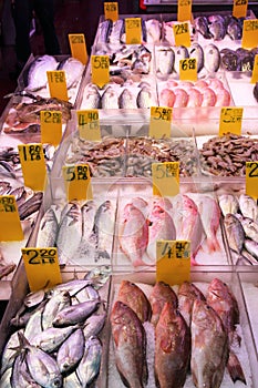 New York fish shop