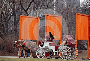 New York Gates And Carriage