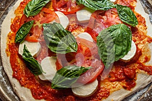 New York Margherita Pizza