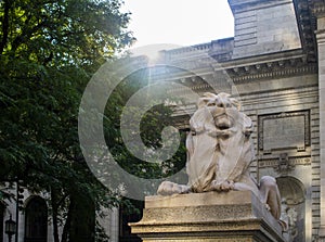 New York, new york, United States of America 01/30/2020  Public Library Entrance lion sculpture in Manhattan with bright sun