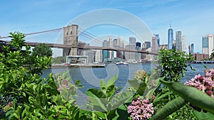 New York, NY, USA. Views of the Brooklyn bridge from the historic and trendy Dumbo neighborhood. Wonderful summer day