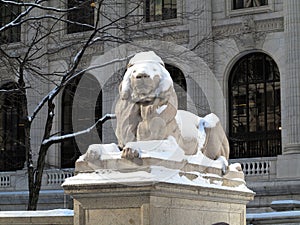 New York Public Library Lion in Winter