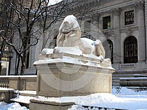 New York Public Library Lion in Winter