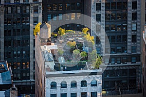 New York rooftop - Roof garden in Chelsea