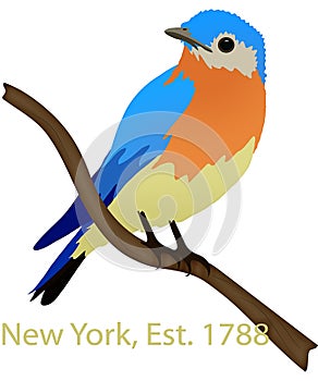 New York State Bird Eastern Bluebird Illustration with Clipping Path Isolated on White