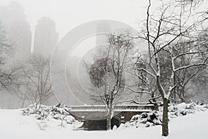 New York streets. Details of New York City. Manhattan streets. Central park.