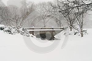 New York streets. Details of New York City. Manhattan streets. Central park.