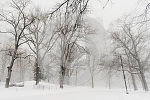 New York streets. Details of New York City. Manhattan streets. Central park.