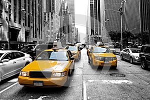 New York Taxi photo