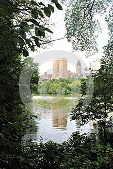 New York, United States - Central Park and sky towers of Manhattan seen from the park