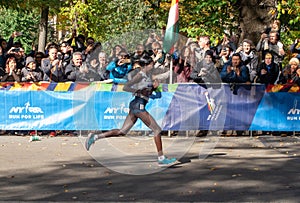 Annual New York City Marathon