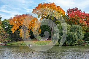 view of autumn landscape. boats on the lake in Central Park. New York City. USA