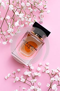 New York, USA 12 24 2020 Women`s perfume Dolce Gabana in the bottle. delicate pink background with white flowers vertical