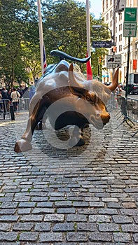 New York Wall Street Bull