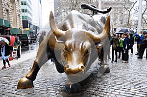 New York Wall Street Charging Bull scene
