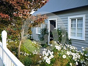 New Zealand: Akaroa historic grey cottage