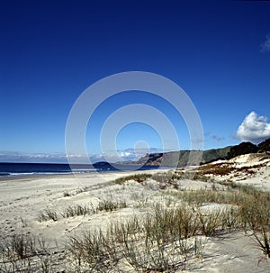 New Zealand beach