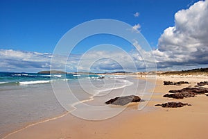 New Zealand beach with stones