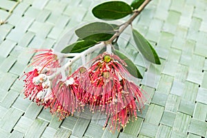 New Zealand Christmas Tree or Pohutukawa flower on woven flax kete background - kiwiana xmas theme