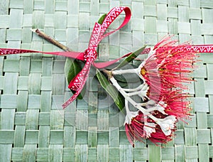 New Zealand Christmas Tree or Pohutukawa flower on woven green f