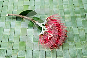 New Zealand Christmas Tree or Pohutukawa flower on woven green f photo