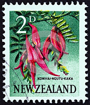 NEW ZEALAND - CIRCA 1960: A stamp printed in New Zealand shows Kowhai Ngutu-kaka Kaka Beak, circa 1960.
