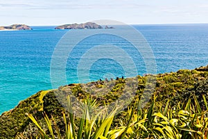 New Zealand coastline looking towards Spirits bay