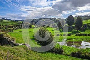 New Zealand countryside landscape