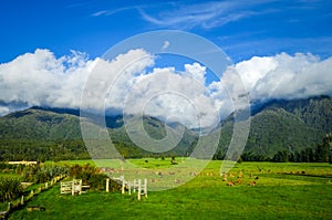 New Zealand countryside landscape