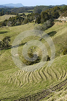 New Zealand: farmland landscape with erosion - v