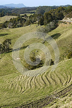 New Zealand: farmland landscape with erosion - v photo