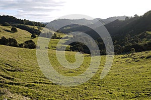 New Zealand: farmland landscape with rugged hills - h