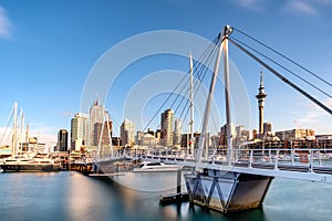 New Zealand financial district and business office buildings