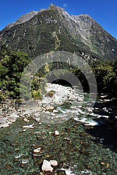 New Zealand Fiordland photo