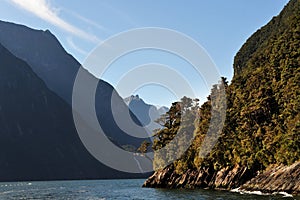 New Zealand Fiordland photo