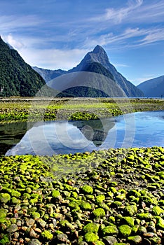 New Zealand Fiordland at the Milford Sound