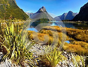 New Zealand, Fiordland, Scenic Mountains Landscape