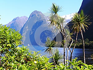 New Zealand fjords photo