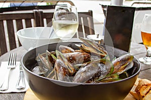 New Zealand green lipped mussels