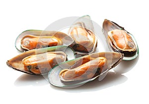 New Zealand Green Mussels