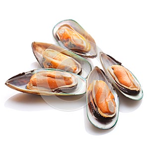 New Zealand Green Mussels