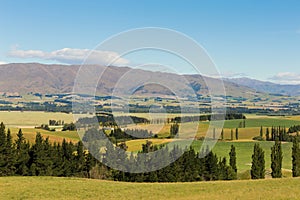 New Zealand highland green glass field with mountain background
