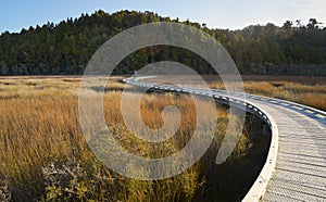 New Zealand, iron path over Okarito lagoon