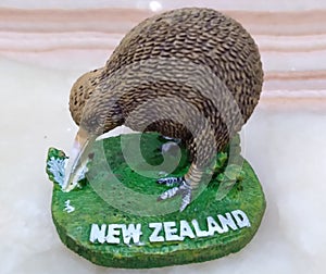 new zealand kiwi bird beautiful table display