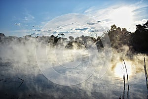 New Zealand, Kuirau Lake in the heart of Rotorua.