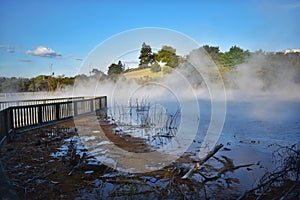 New Zealand, Kuirau Lake in the heart of Rotorua.