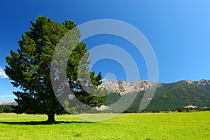 New Zealand Landscape